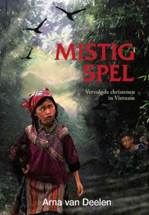 Mistig spel E-book