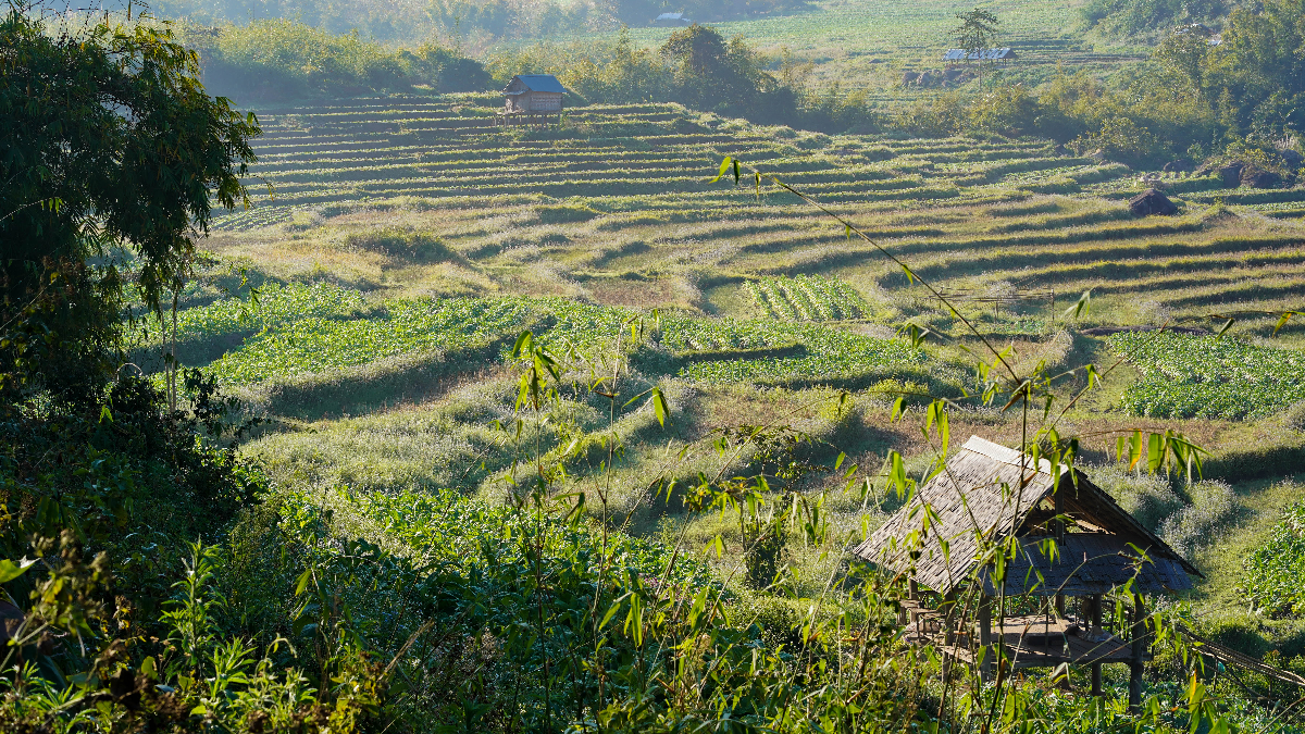 Landschap in Laos