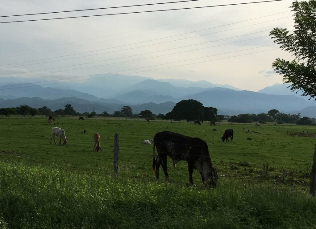 Colombia