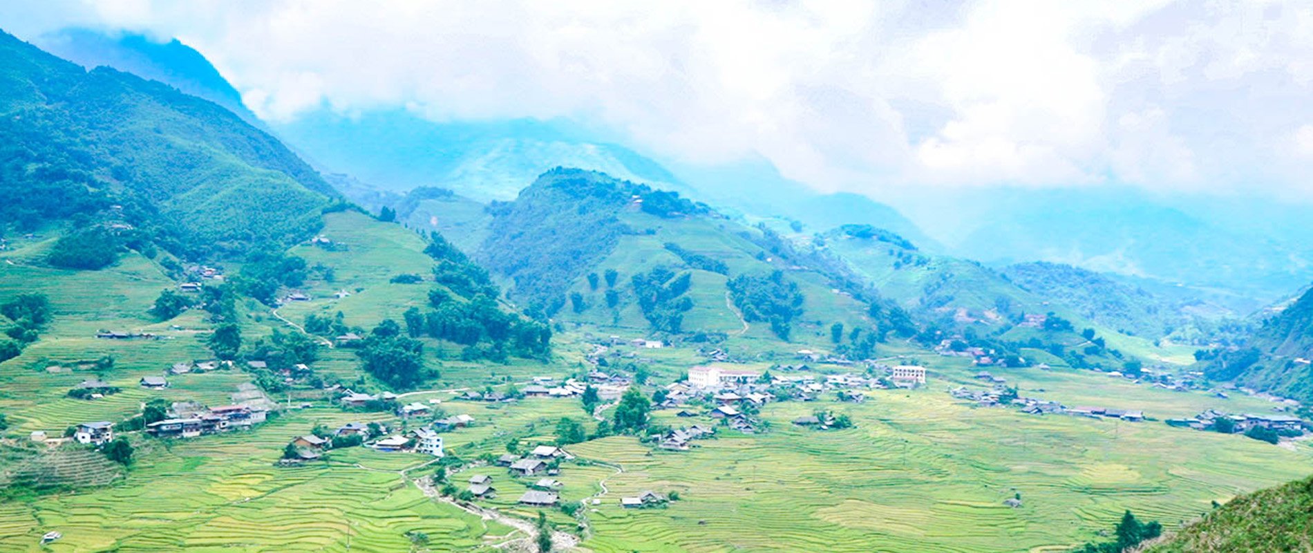Rijstveld in Vietnam