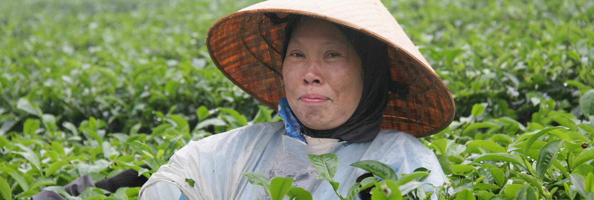 Werkende vrouw in Indonesië