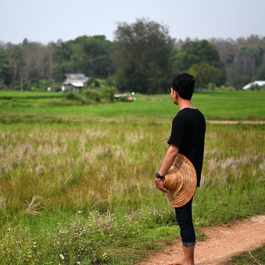 Ko-Aung-in-het-veld