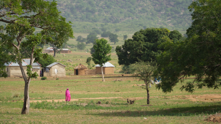 Moslimvrouw in dorp bij Bauchi, Nigeria